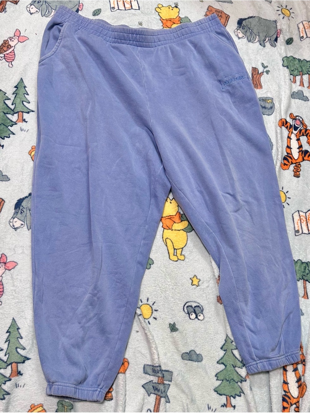 (NEW) Women’s Lavender Fleece Joggers with Elastic Waist